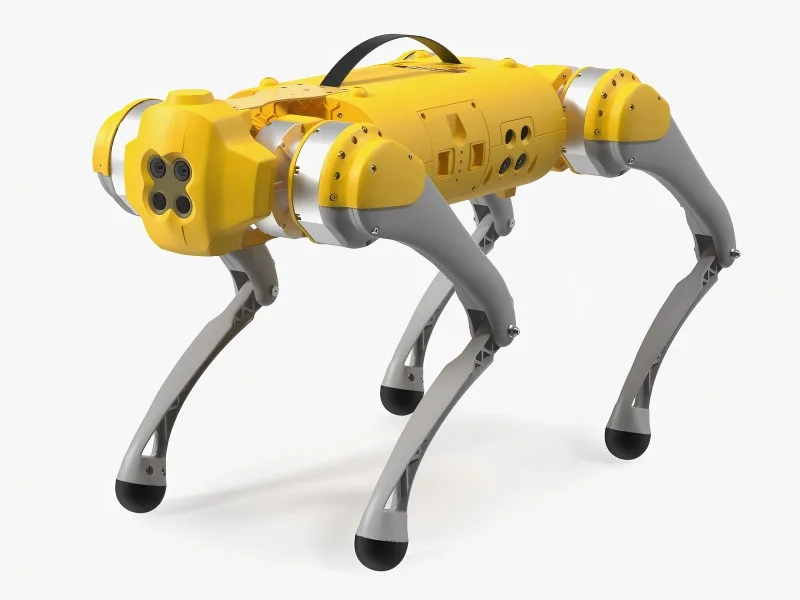 Bionic Robot