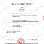 Iec62133