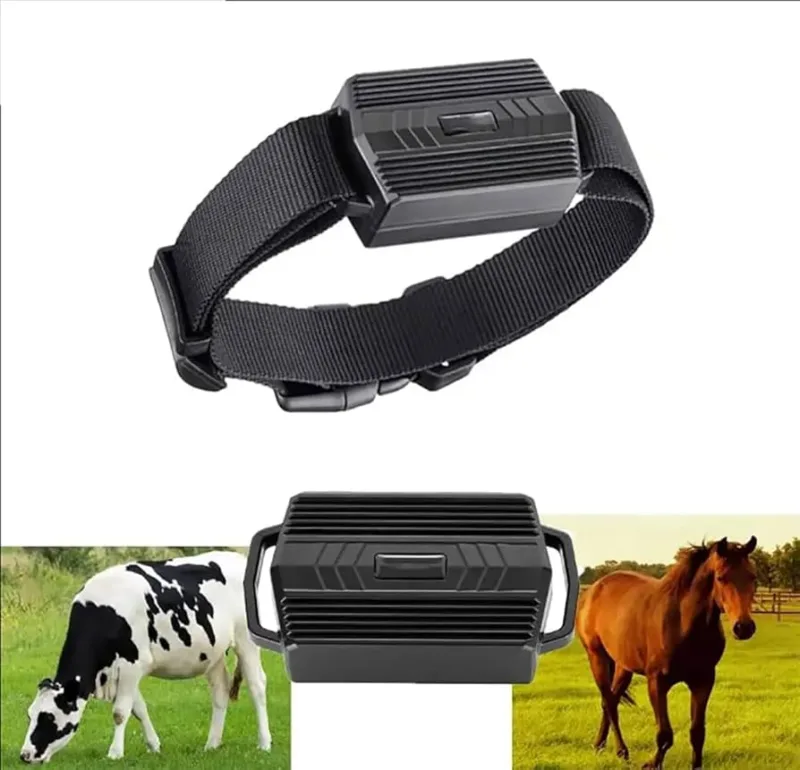 Animal Tracker Main