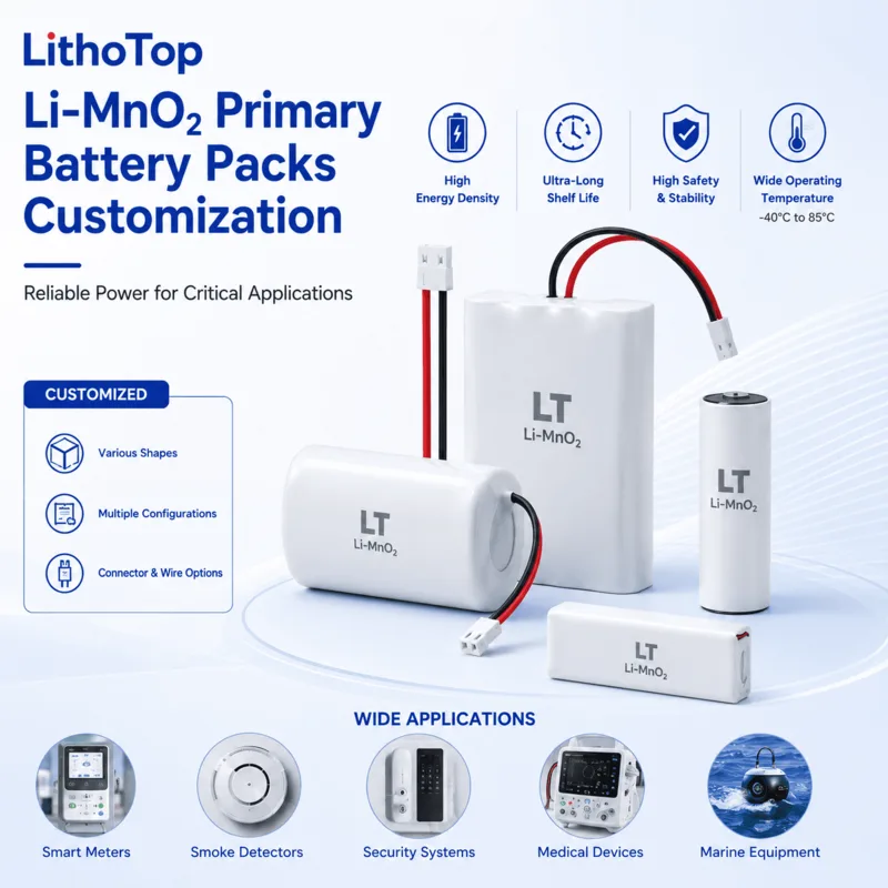 Li Mno₂ Primary Battery Packs Customization